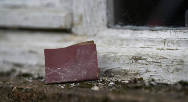 She Buried the Diary But Its Words Kept Returning