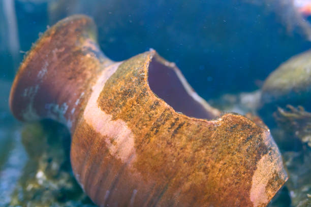 Househelp Accidentally Breaks a Hidden Pot While Cleaning And Everything In That House Start Changing