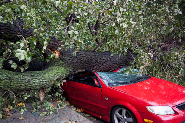 I Survived Three Accidents in One Year Someone Did Not Want Me Alive