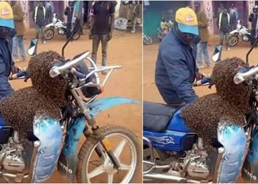 Drama as Thief Returns Hardware Equipment He Stole from Owner After Bees Camped on His Motorbike
