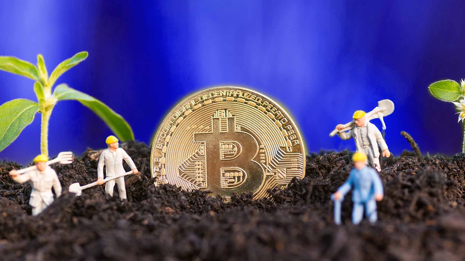Crypto Yield Farming and Staking: How to Earn Passive Income (and Understand the Risks)